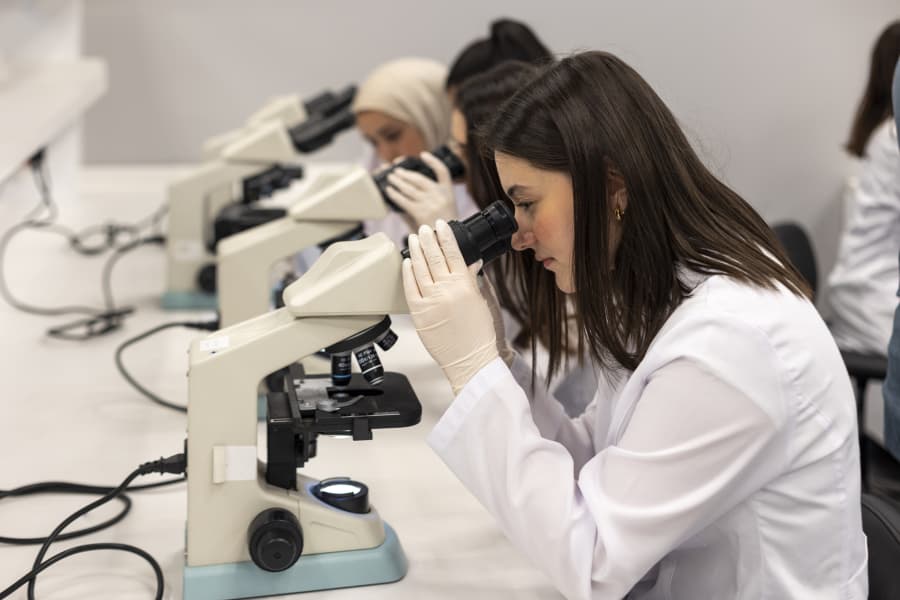 İstinye Üniversitesi - 1